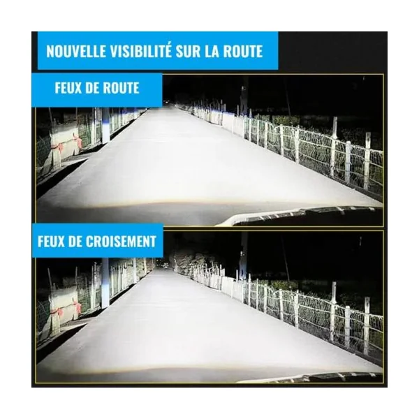 Ampoules H1 LED PROMAX 30 000 LM 6000K Blanc Froid Puissant Lampe Led H1 Phares pour Voiture Feux de Croisement/Route/Brouillard Canbus Anti Erreur, Pack de 2