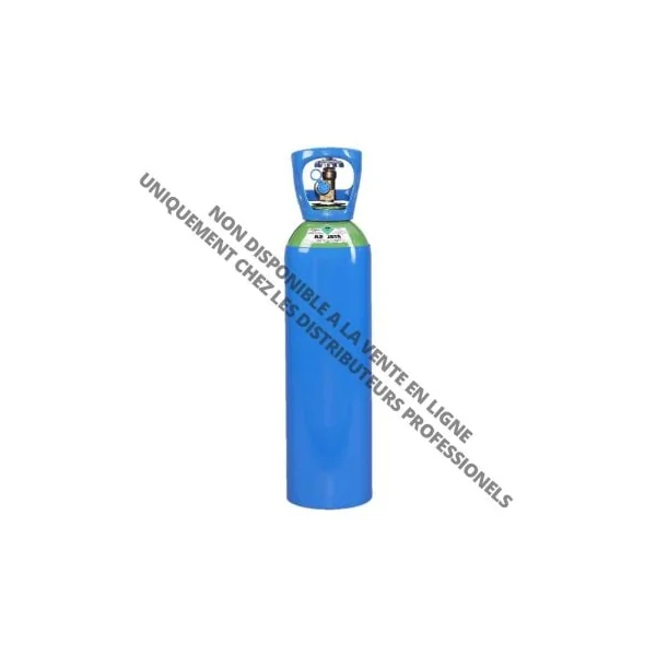 Bouteille CO2 pour piege a moustique 10 kg