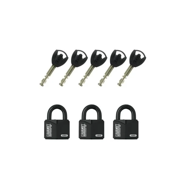Cadenas s’entrouvrant avec les mêmes clés Abus Granit