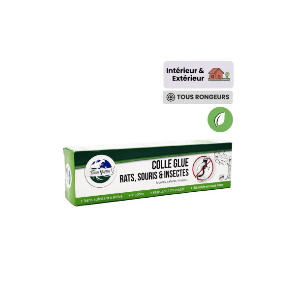 Colle anti rat et anti souris