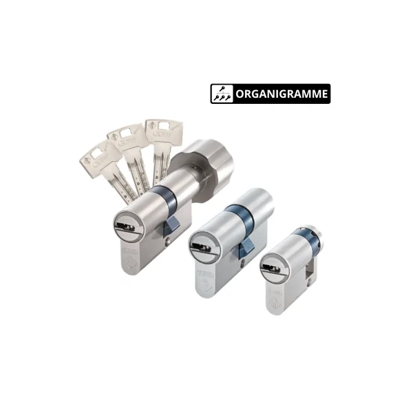 Cylindre Abus Bravus 2000 sur organigramme