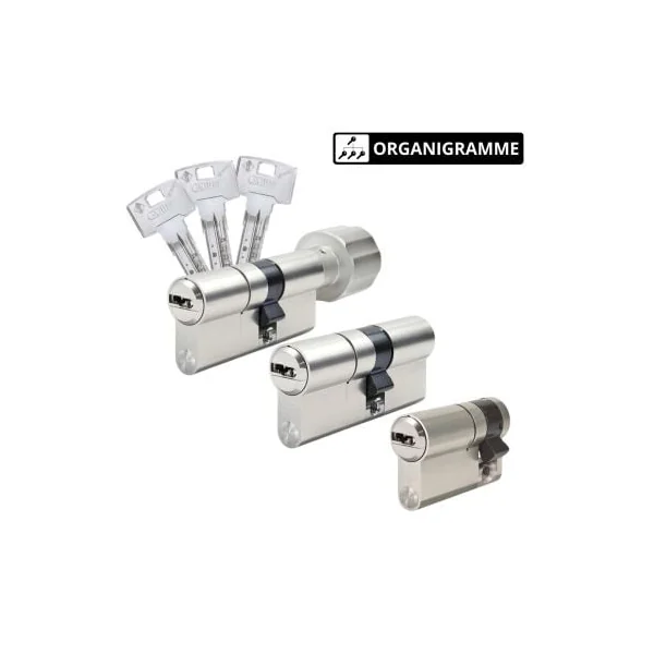 Cylindre Abus Bravus 4000 MX sur organigramme