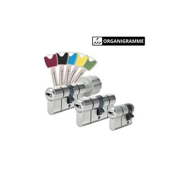 Cylindre Abus P6PS sur organigramme