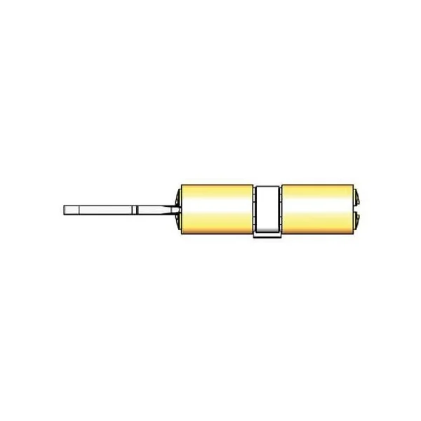 Cylindre HDI+N1 A2P*