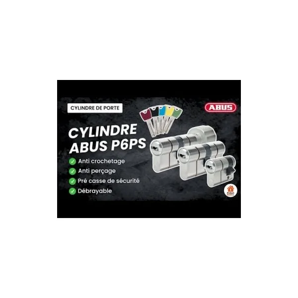 Cylindre serrure Abus P6PS