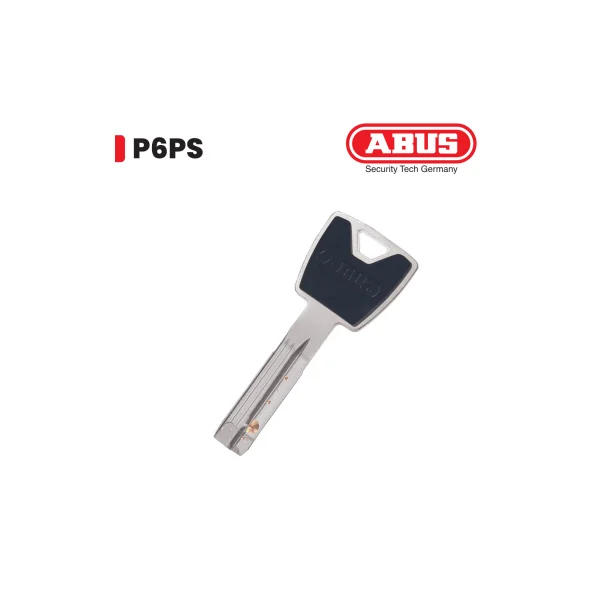 Double clé cylindre Abus P6PS