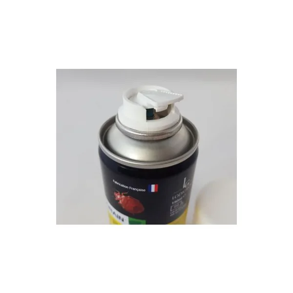 Fumigene anti puce et punaise de lit
