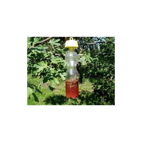 Piege a guepe et frelon redoutable Tap Trap
