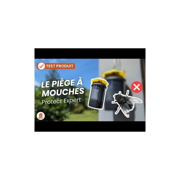 Piege a guepe et mouche ecologique