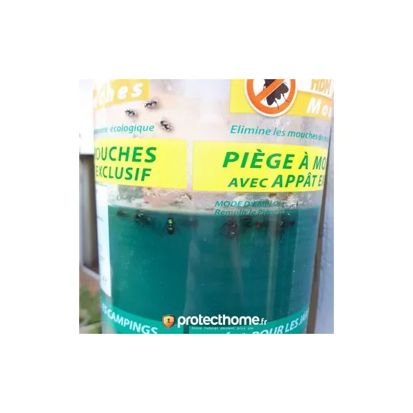 Piege a mouche ultra efficace