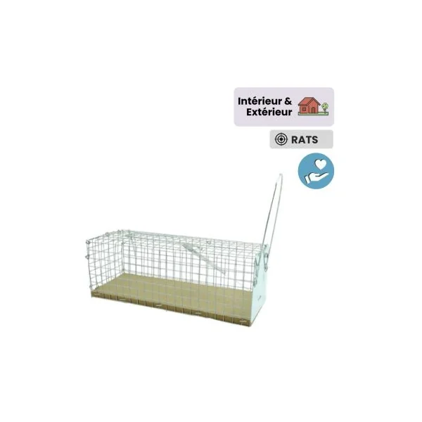 Piege a rat nasse