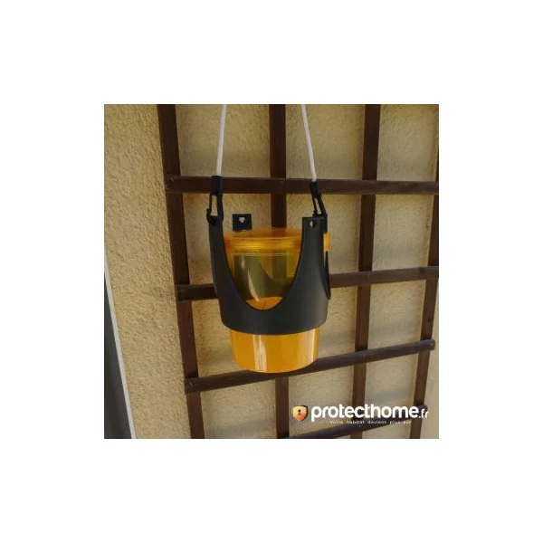 Piège à guepe et frelon réutilisable