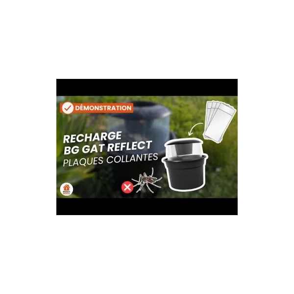 Recharge plaquette collante piege anti moustique tigre Biogents BG-GAT x10