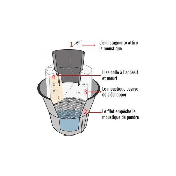 Recharge plaquette collante piege anti moustique tigre Biogents BG-GAT x10