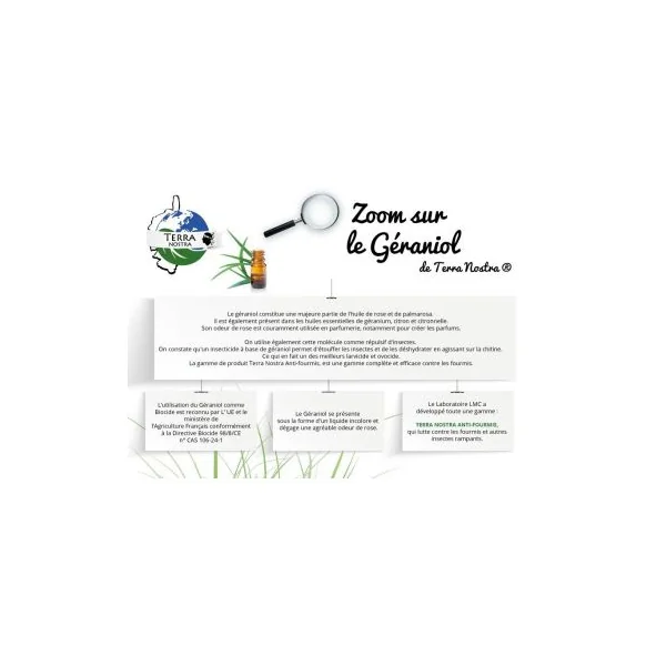 Repulsif naturel fourmi biodégradable