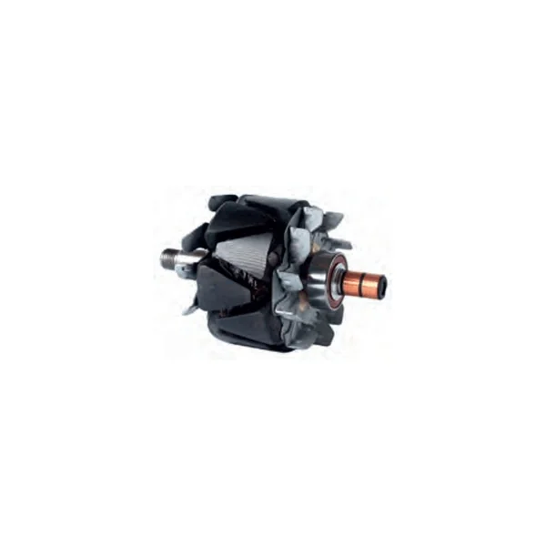 Rotor pour alternateur Denso 100211-6030 / 100211-6031 / 100211-6040 / 100211-6050
