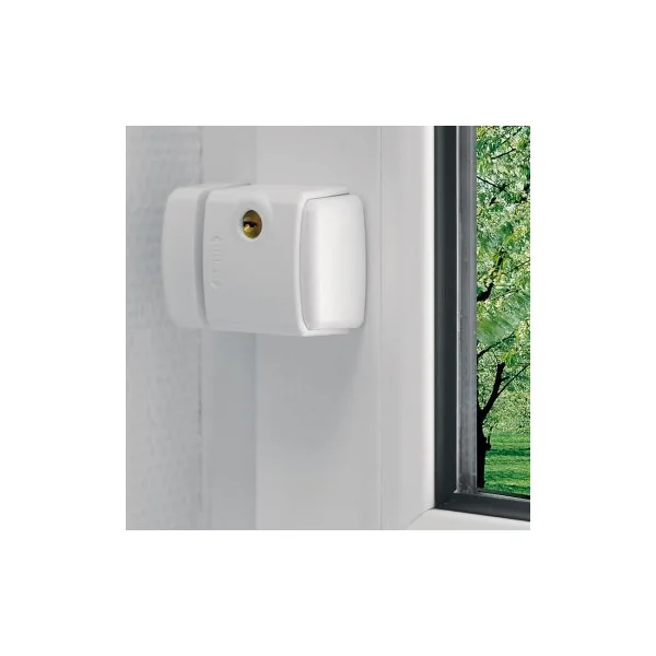 Verrou de fenêtre à clé ABUS FTS 3003